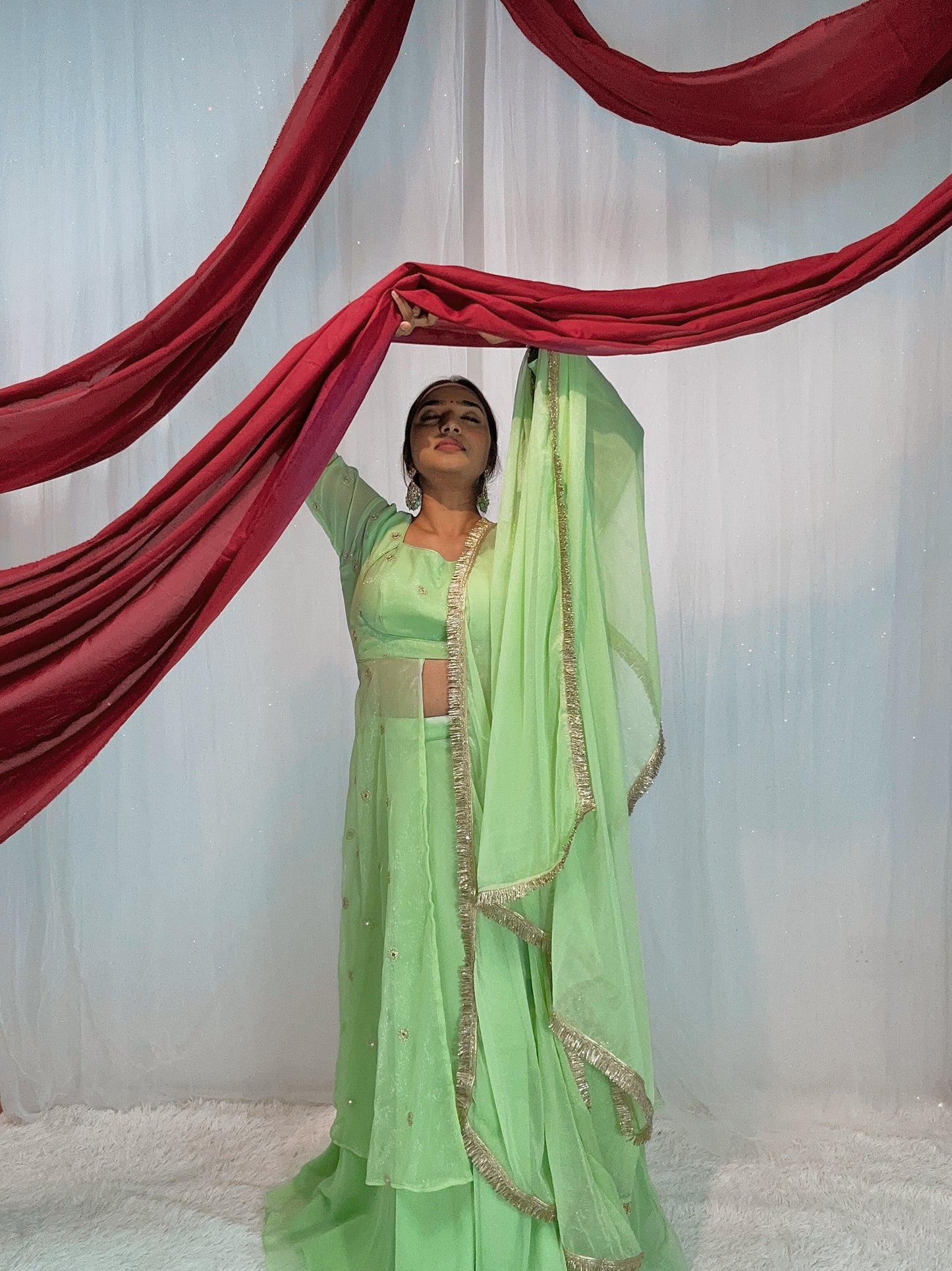 Slit georgette lehenga