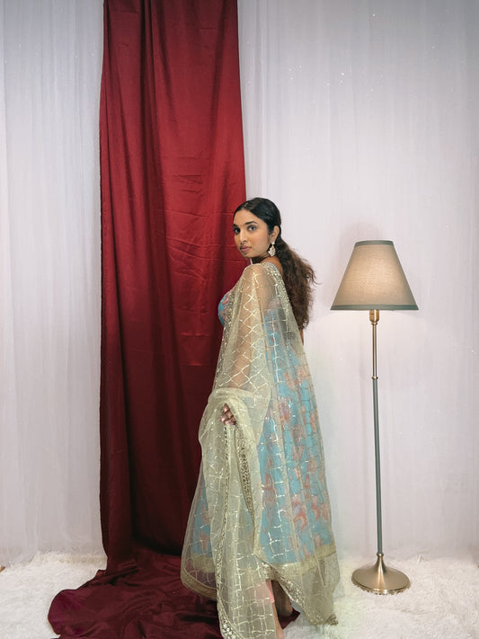 Sky blue floral anarkali